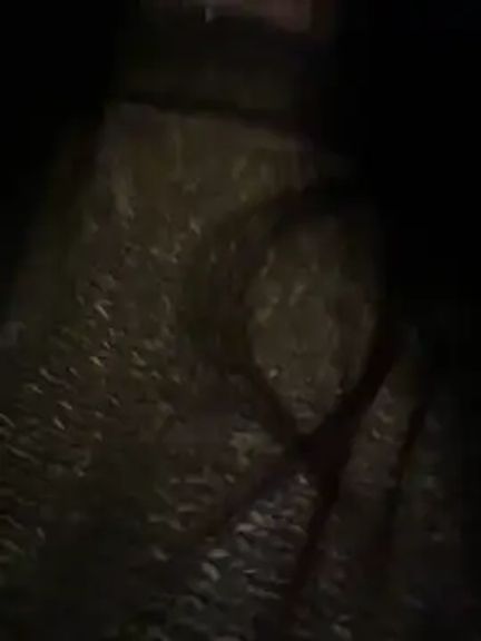xiaoqiao_ss