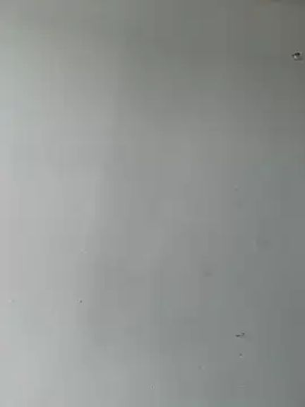 cuteluci_