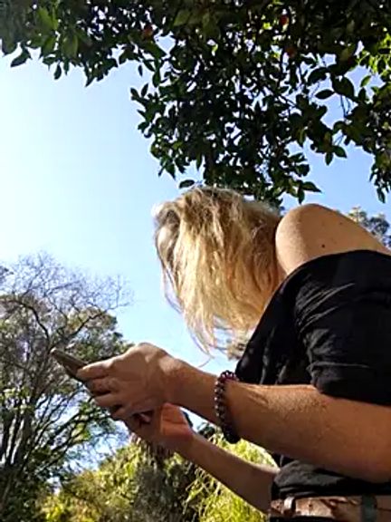 Public_Katrisha