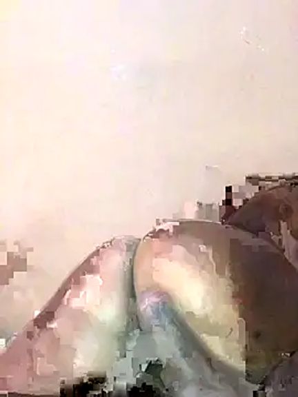 ffinegirl