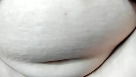 Alondra_zaaens