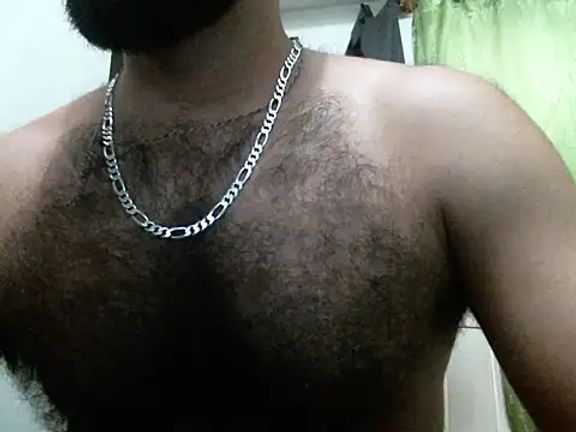 indianhairybull