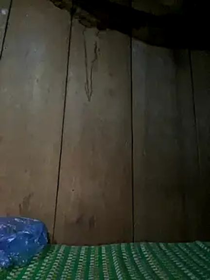 phungtiti