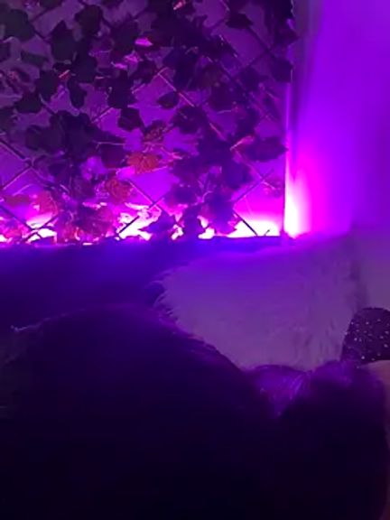 fetish_foot_