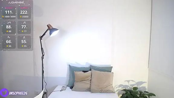 Imsophie2