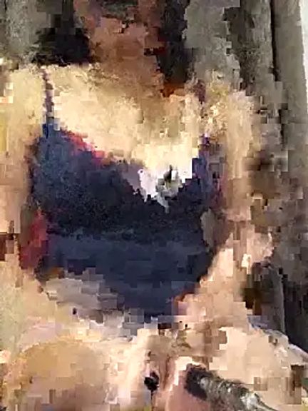 SL_Achi1990