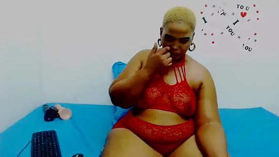 Bbwmodel28x
