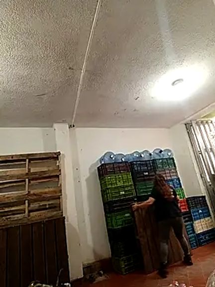 VERONICA__03