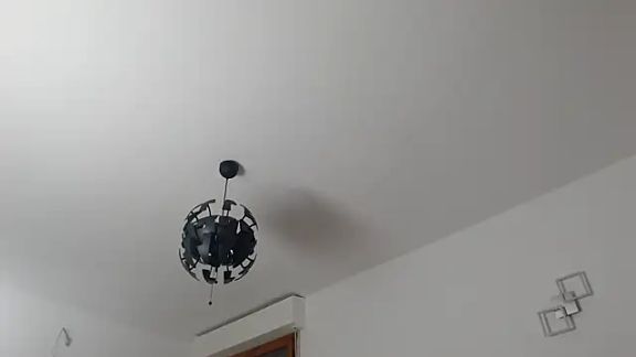 L_Sofia