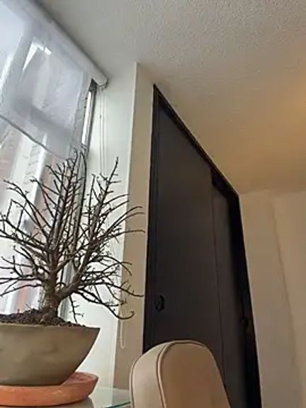 AmelieLaurent_