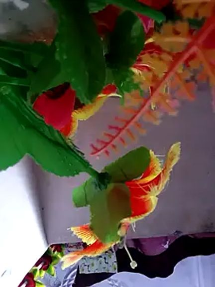 Sabnam_yadav45