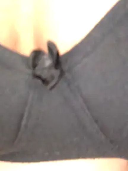 Telugu_sweet_couple_345