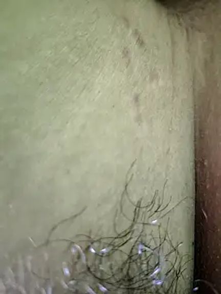 Hot_soniya_xeci