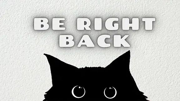 Raycatt1