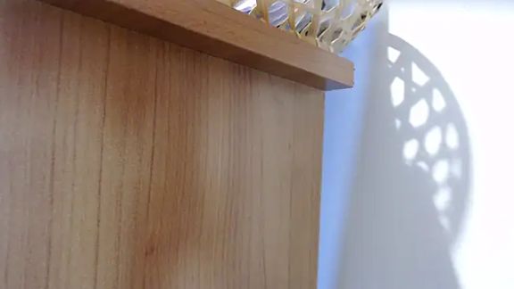 Pamela-StripX