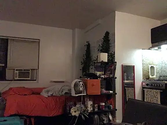 littyleesh1