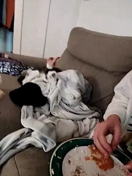 biggnipz