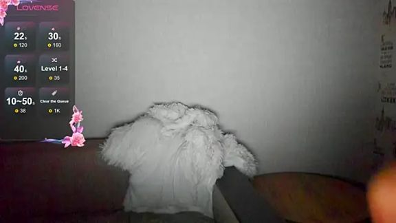 evapuffy