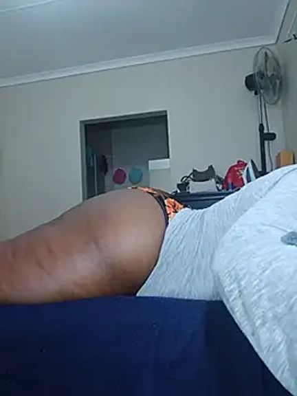 curvybigAssxx