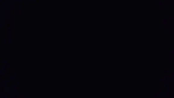 VioletV
