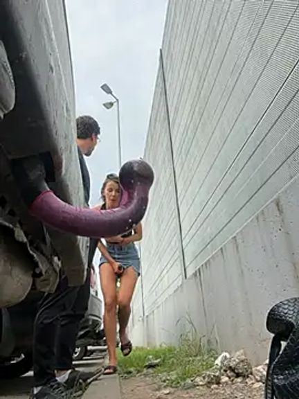 fit_vic