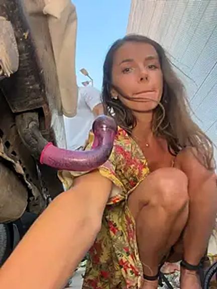 fit_vic