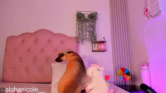 sweet_nicole_11