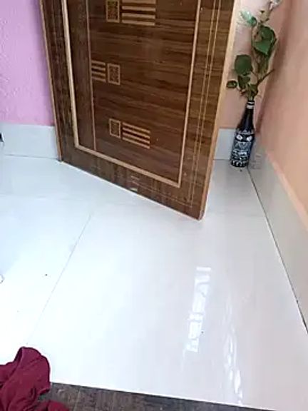 Starling_Zara