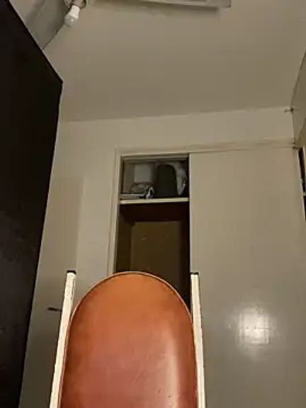 Argentiiniita