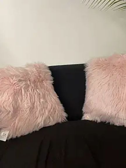 Sammy_Sweet01