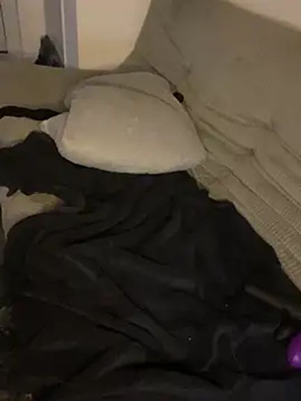 elliepixie