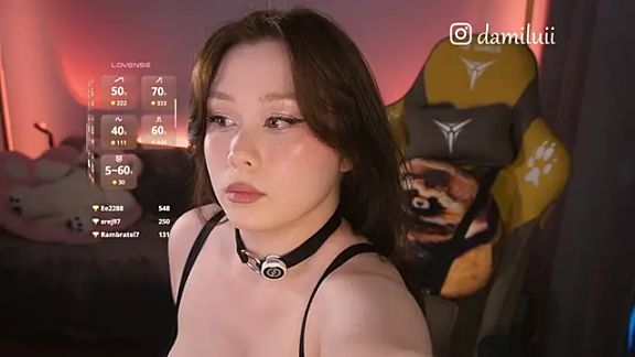 damilui