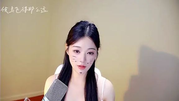 meimeida-