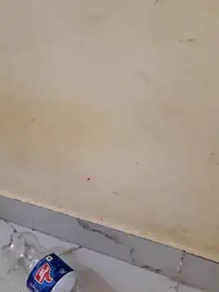 Neha_rani78