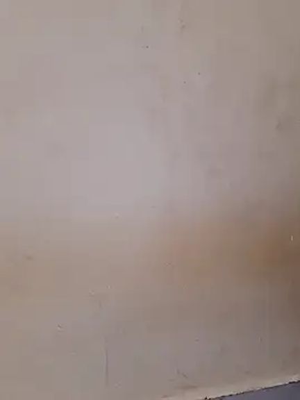 Neha_rani78