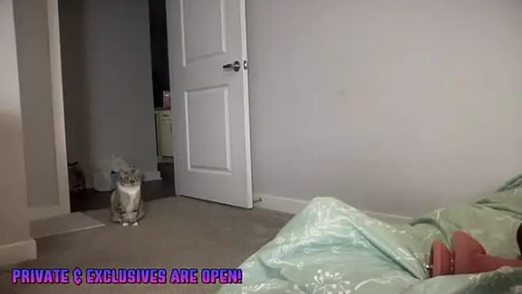 maddiliz