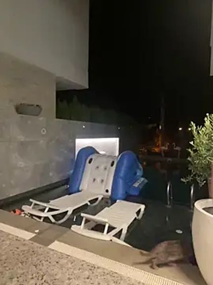 SexOnMyLvL