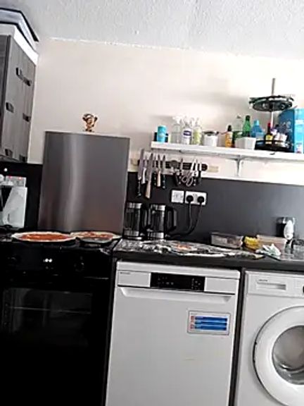 Milky_flexy_cat