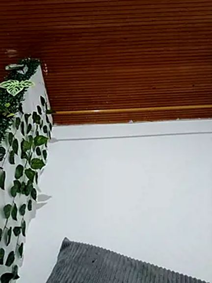 baby_five