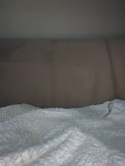 CatVibe
