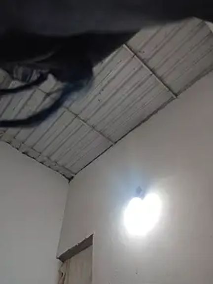 Charlott_smi