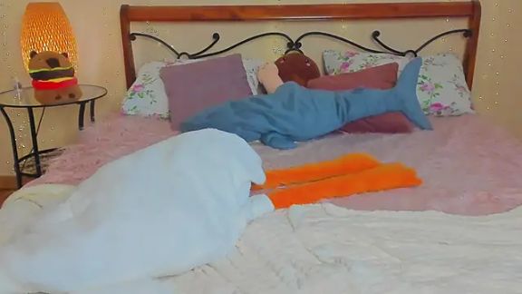 miya_soft