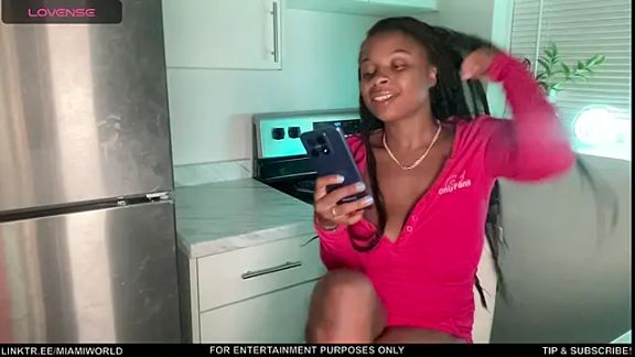 miamiworld