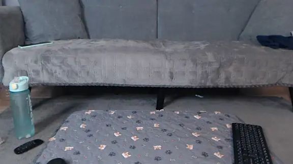 sofiasteven