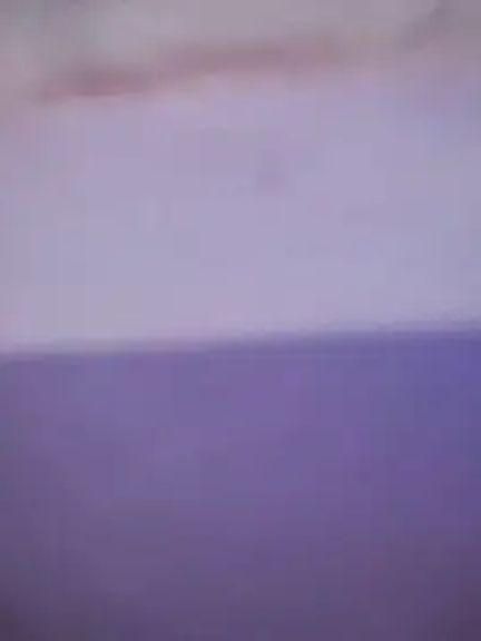 Cataleya_16