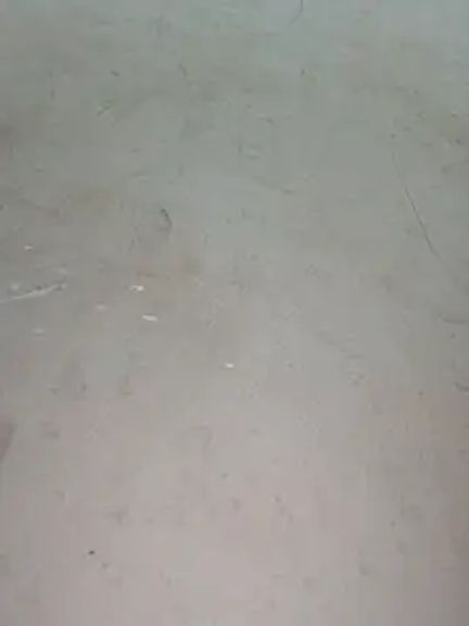 Baoduyen456789