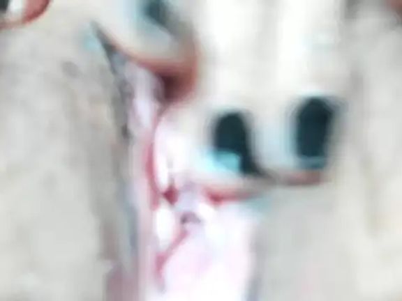 foxy-porn1