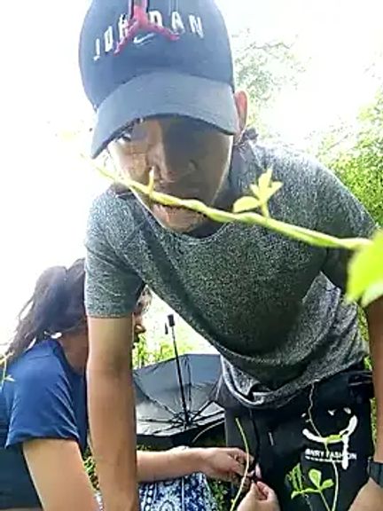 RoomExotic11