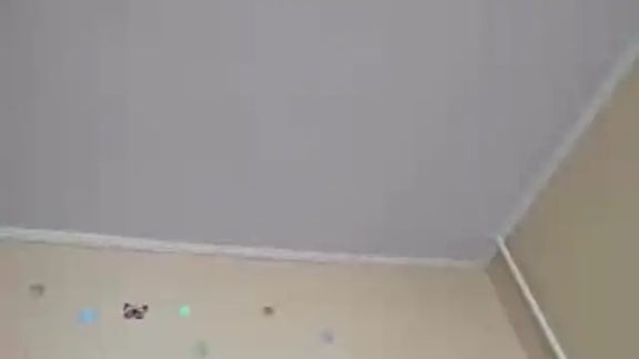 LanitaHemple