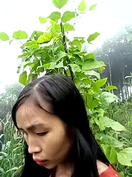 xiaogoal